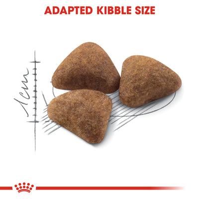 Feline Health Nutrition Indoor