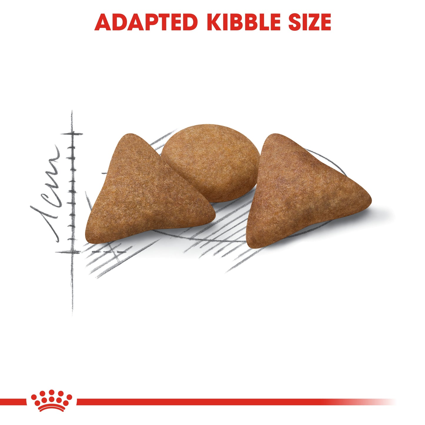 التغذية الصحية للقطط للتحكم في شهيتها للقطط 2 كجم