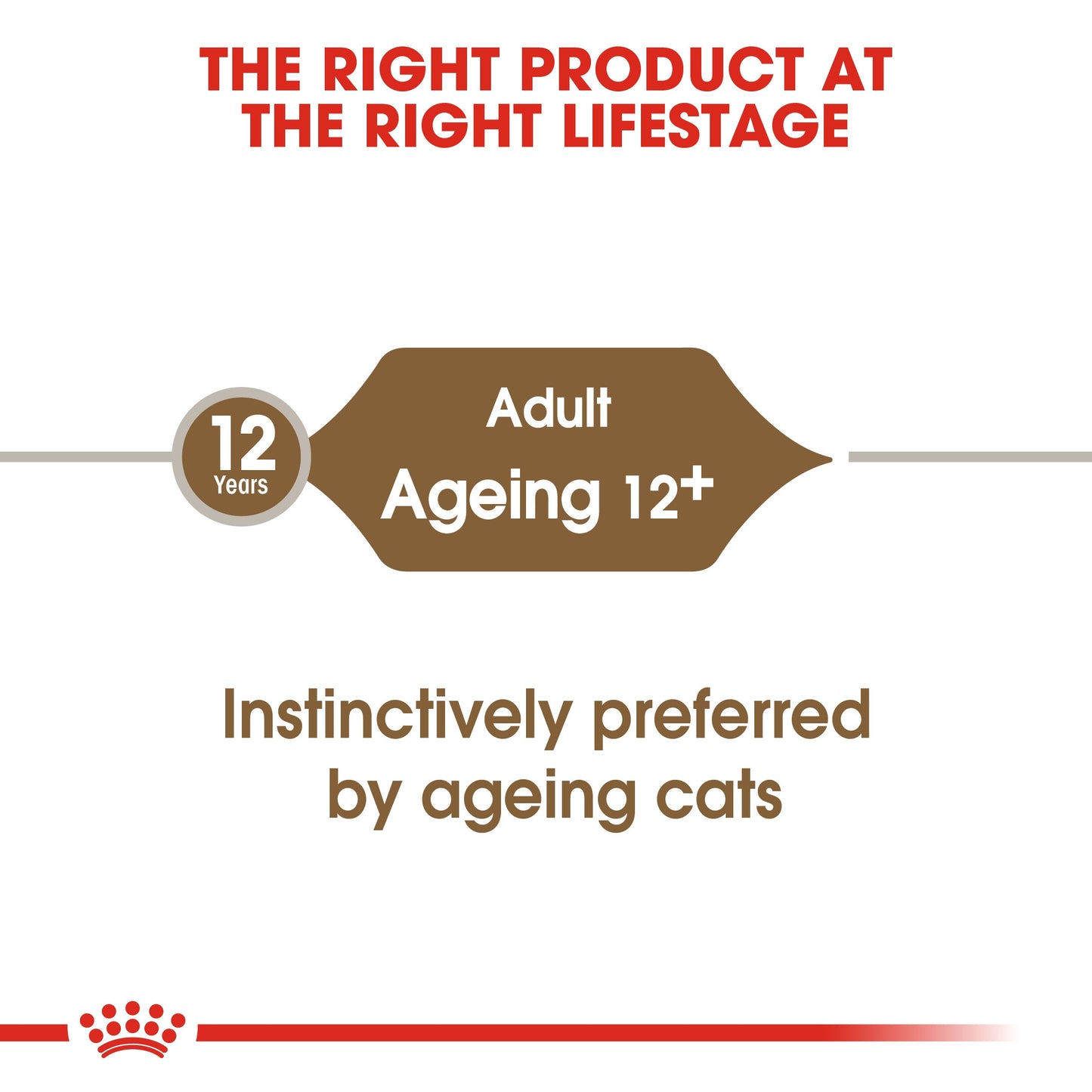 Feline Health Nutrition Ageing +12 Gravy Wet Food - 85g