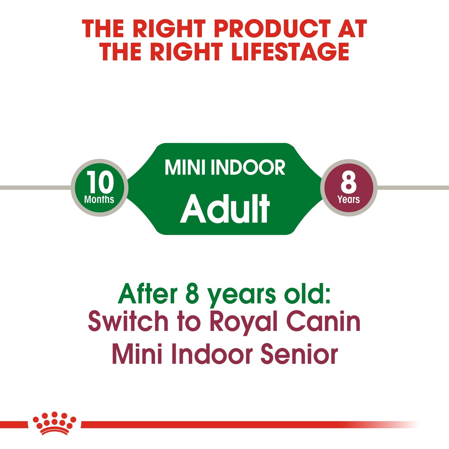 Size Health Nutrition Mini Indoor Adult 1.5 KG