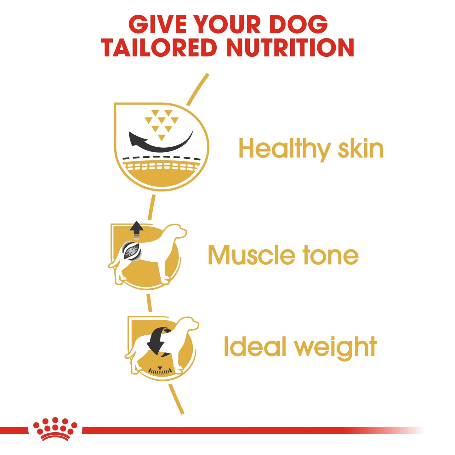 Breed Health Nutrition Pug Adult 1.5 KG