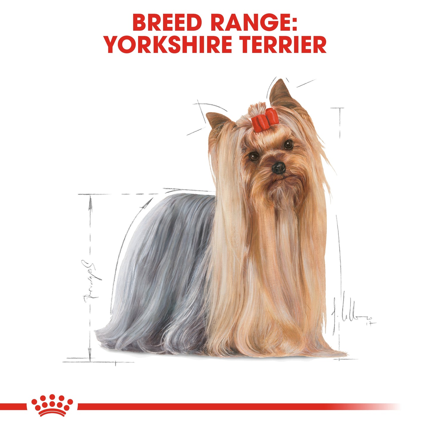 Breed Health Nutrition Yorkshire Adult Wet Food - 85g