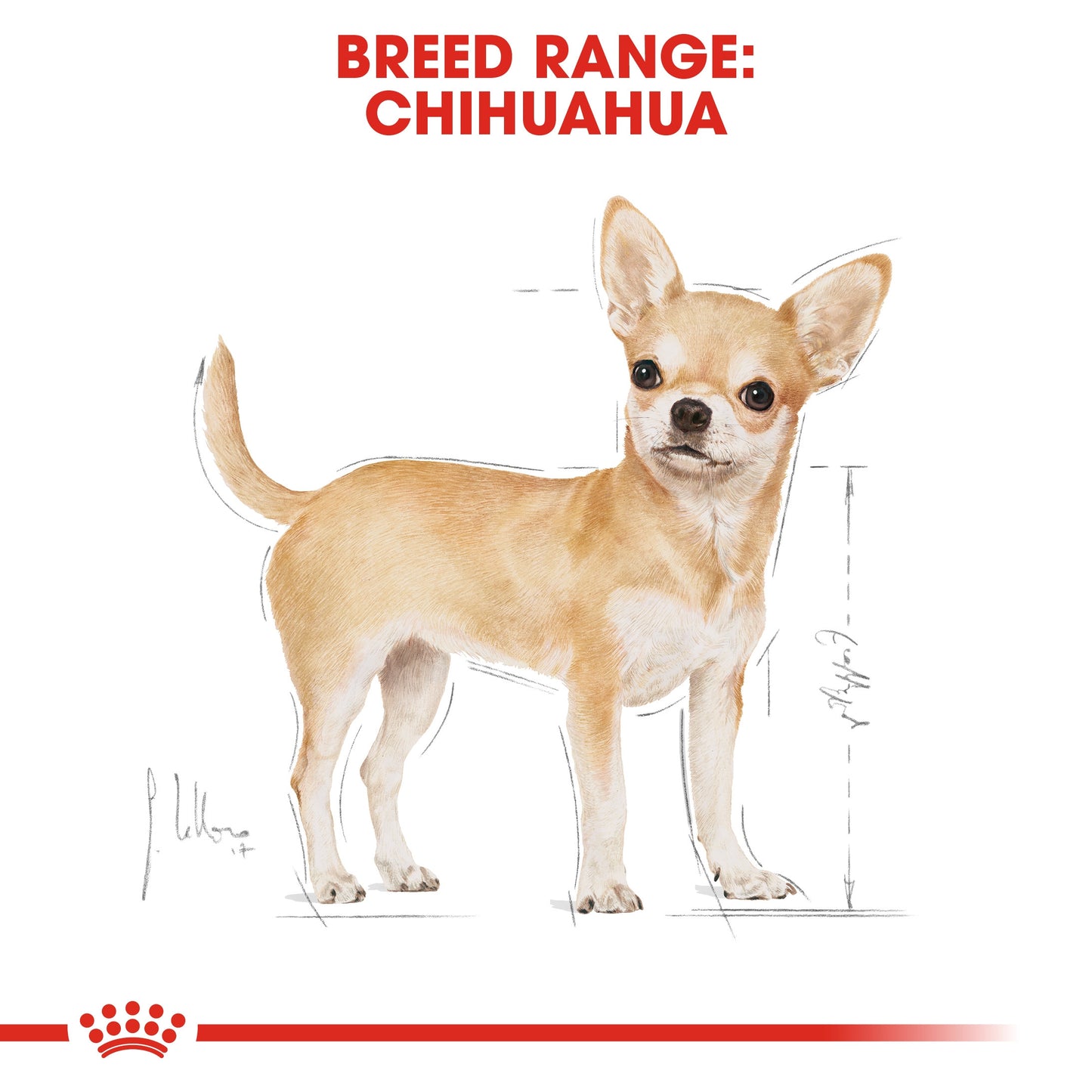 Breed Health Nutrition Chihuahua Adult Wet Food - 85g