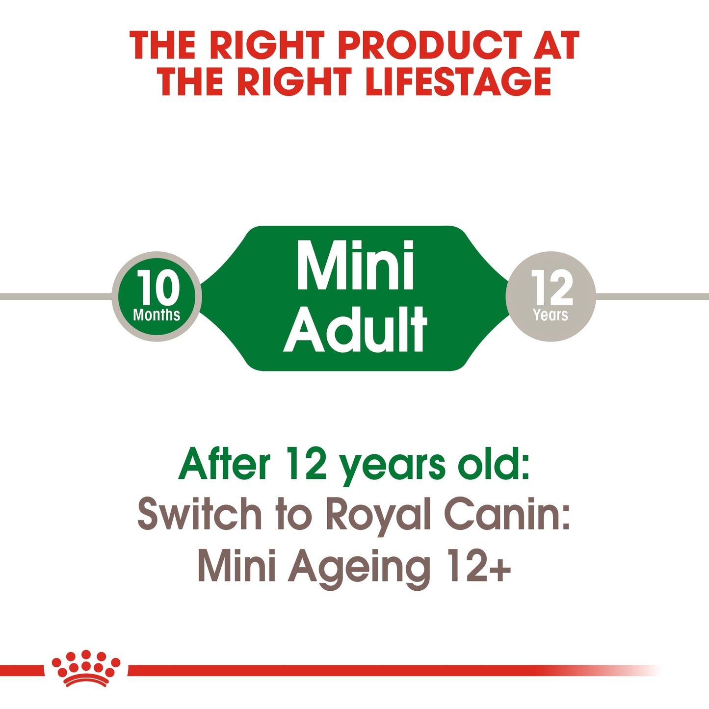 Size Health Nutrition Mini Adult Wet Food - 85g