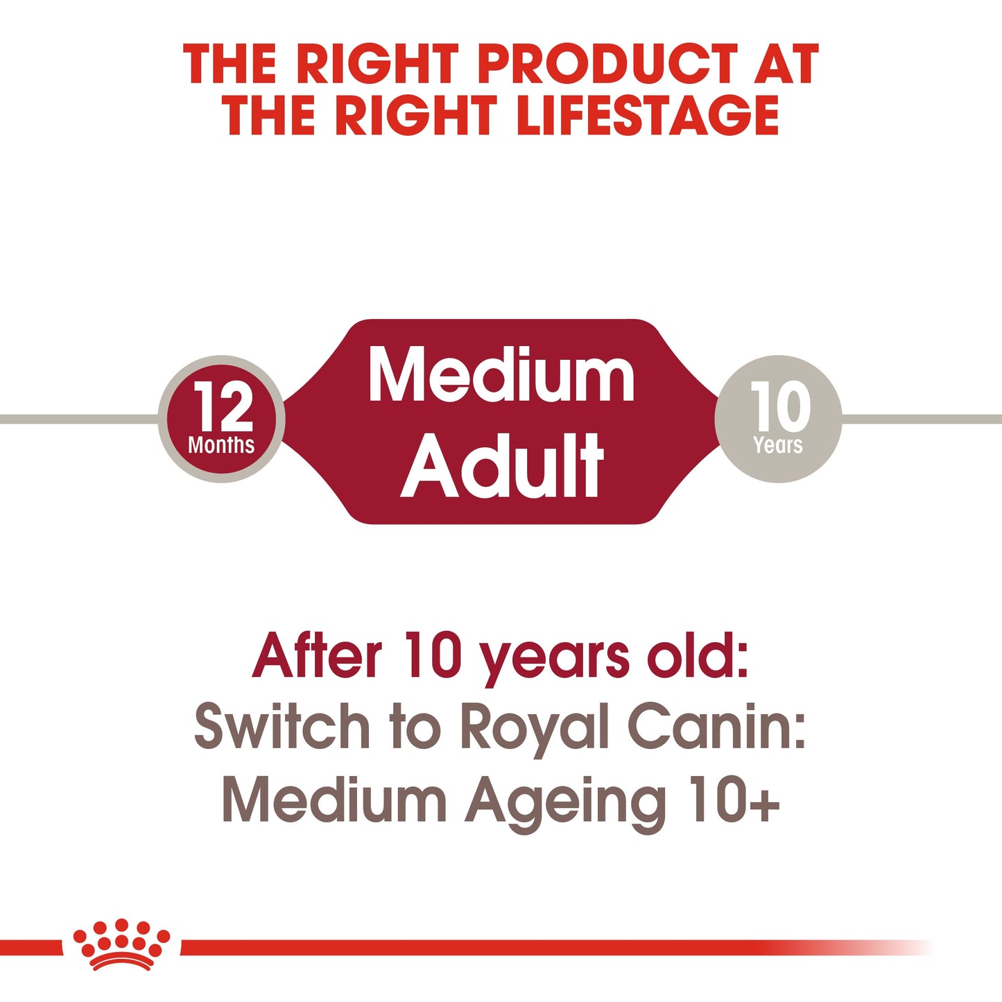 Size Health Nutrition Medium Adult Wet Food - 140g