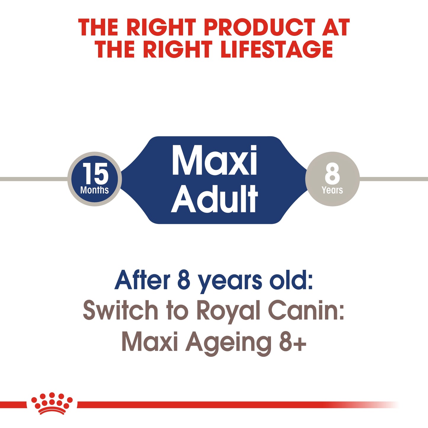 Size Health Nutrition Maxi Adult Wet Food - 140g