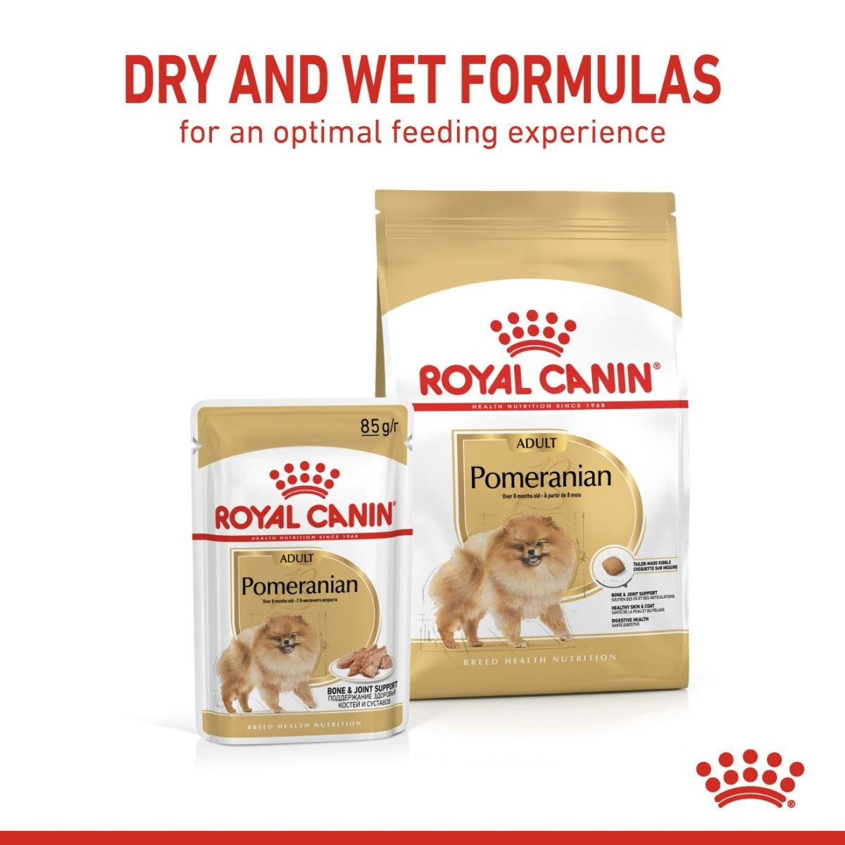 Breed Health Nutrition Pomeranian Wet Food - 85g