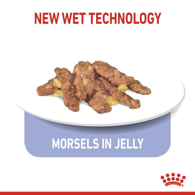 Feline Health Nutrition Indoor Jelly Wet Food - 85g