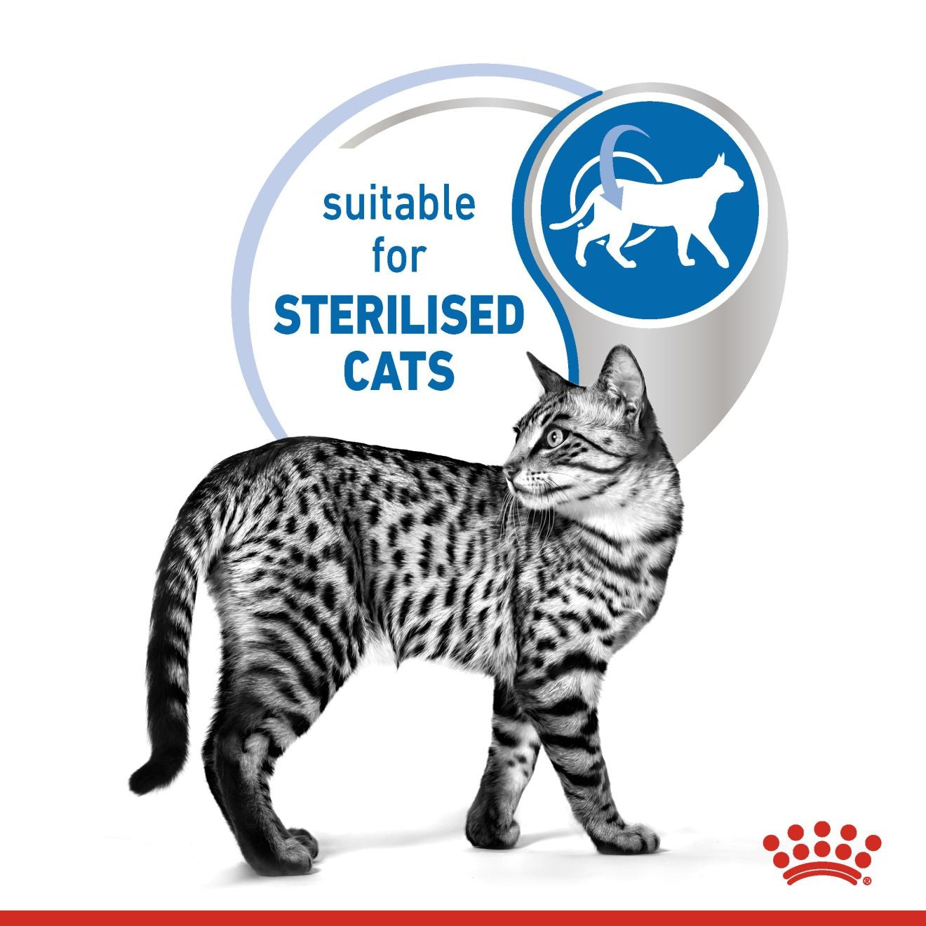 Feline Health Nutrition Indoor 7+ Wet Food - 85g