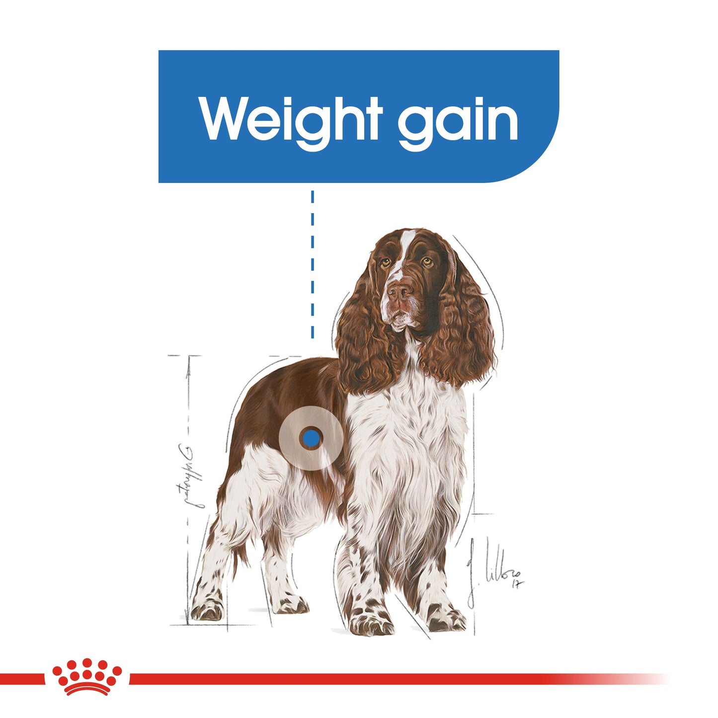 Canine Care Nutrition Medium Light Weight Care