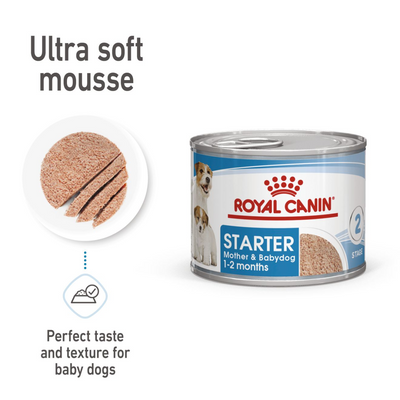 Canine Health Nutrition Starter Mousse Wet Food Can - 195g
