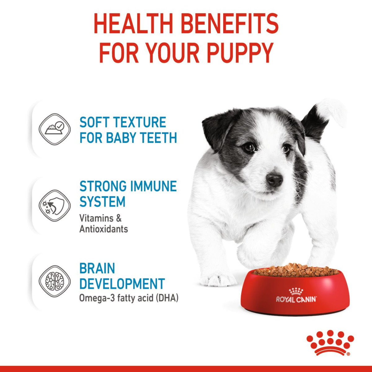 Size Health Nutrition Mini Puppy Wet Food - 85g