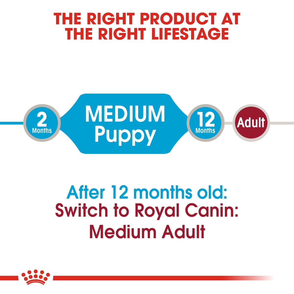 Size Health Nutrition Medium Puppy Wet Food - 140g