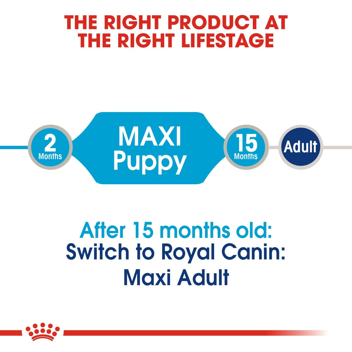 Size Health Nutrition Maxi Puppy Wet Food - 140g