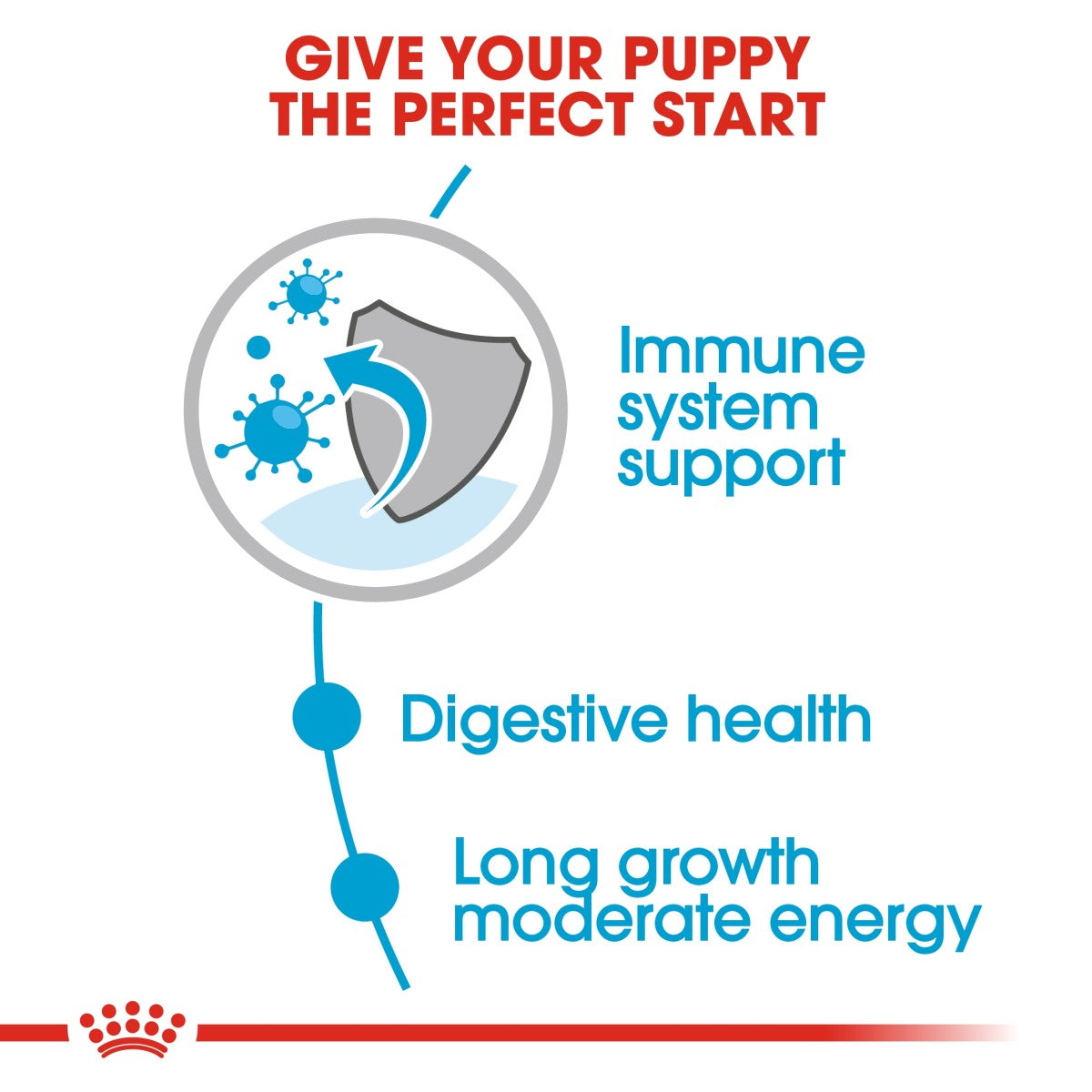 Size Health Nutrition Maxi Puppy Wet Food - 140g