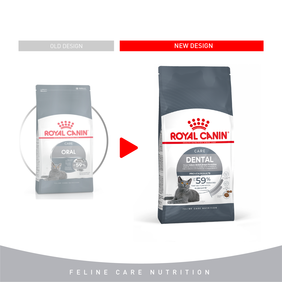 Feline Care Nutrition Dental Care