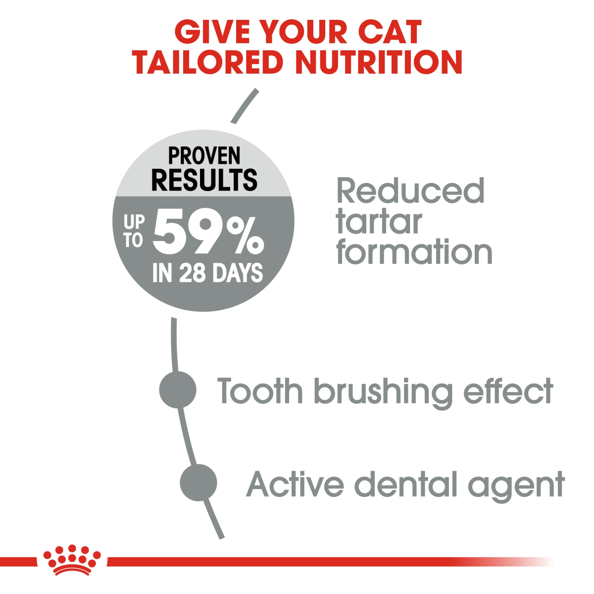 Feline Care Nutrition Dental Care