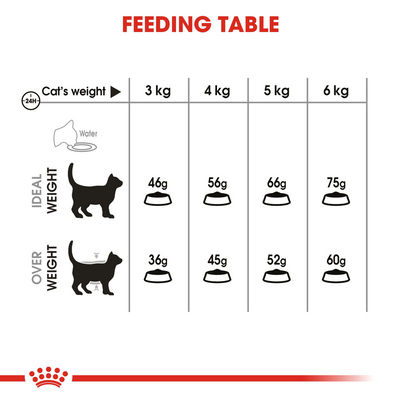 Feline Care Nutrition Dental Care