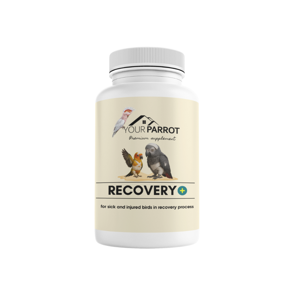 Your Parrot Recovery Plus