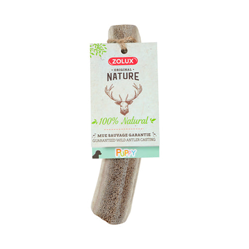 Natural Deer Antler for Puppy