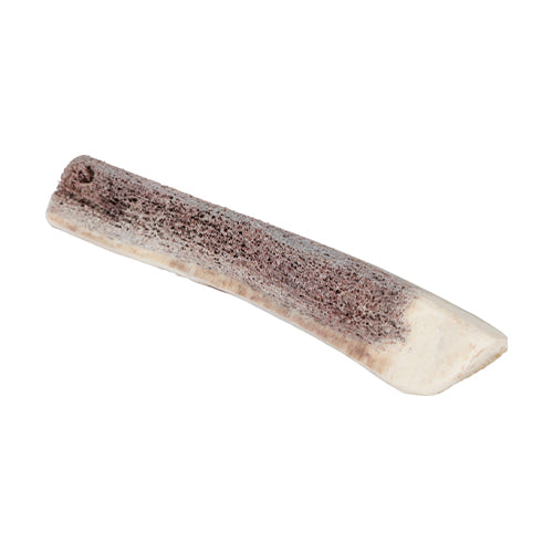 Natural Deer Antler for Puppy