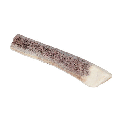 Natural Deer Antler for Puppy