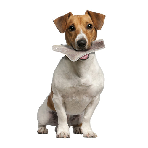 Natural Deer Antler Easy for Dogs Under 10Kg