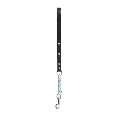 Spring Leash 25mm - Black
