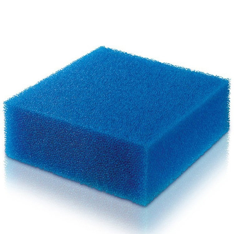 BioPlus Fine