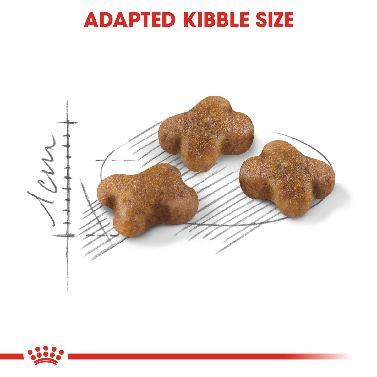 Feline Health Nutrition Kitten