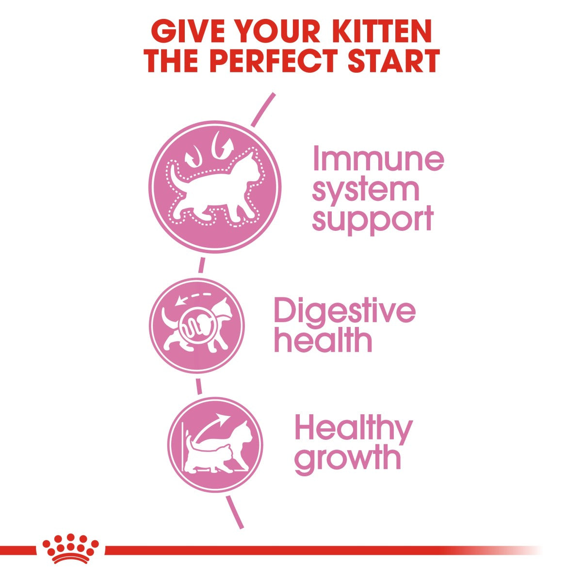 Feline Health Nutrition Kitten