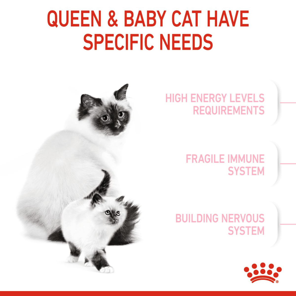 Feline Health Nutrition Mother & Babycat