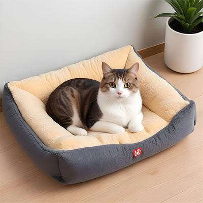 Cat Bed & Mats