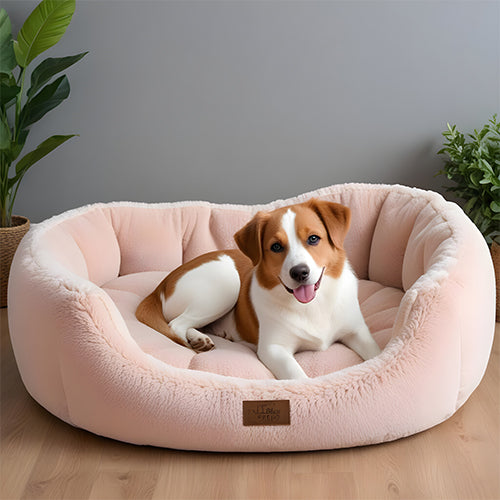 Dog Beds