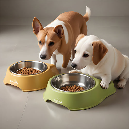 Dog Bowls & Feeders