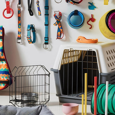 Pet Accessories