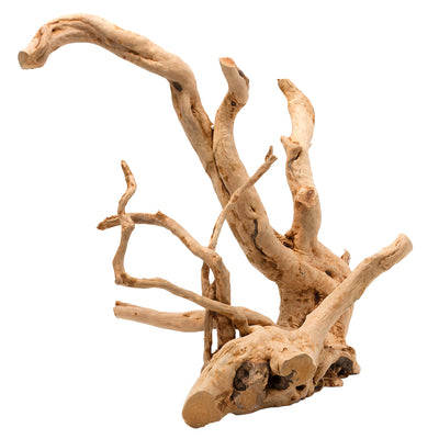 Drift Wood