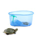 Turtle Tank