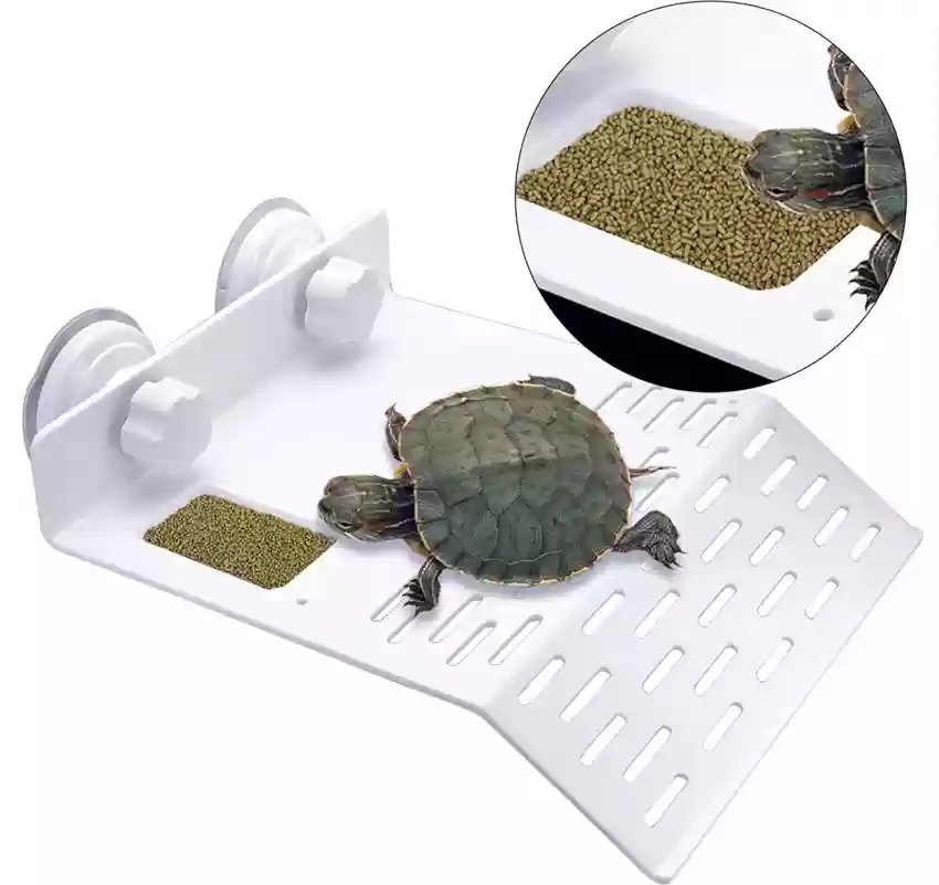 Turtle Stand 19*12CM