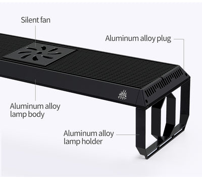 Week Aqua P1200