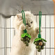 Grape Style Catnip