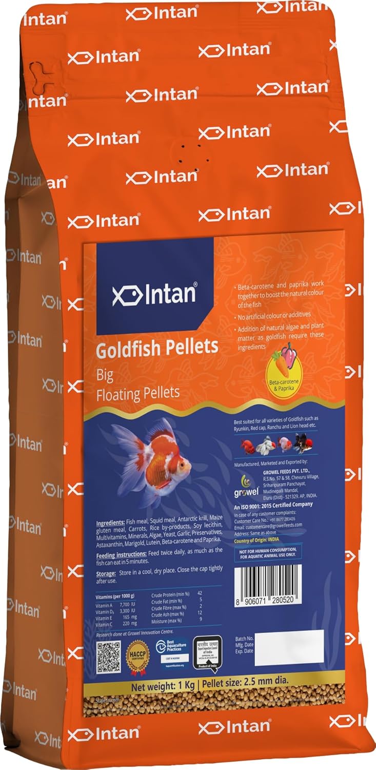 Gold Fish Food Big Floating Pellets