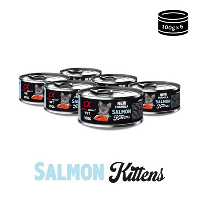 Wet Food for Kittens – Salmon Delight in Gravy (100g Can)