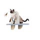 Skywalk – Groom & Play Platform | Wall-Mounted Cat Perch with Grooming Brush