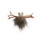 Classic Comfort – Silly Spider Cat Toy
