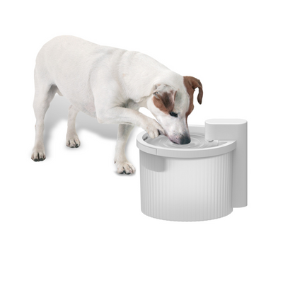Lifestyle 4 Pets – Wireless Pet Water Fountain