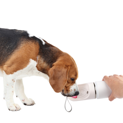Lifestyle 4 Pets – 2-in-1 Stainless Steel Pet Drinking Bottle (400ml / 14oz)