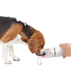 Lifestyle 4 Pets – 2-in-1 Stainless Steel Pet Drinking Bottle (400ml / 14oz)