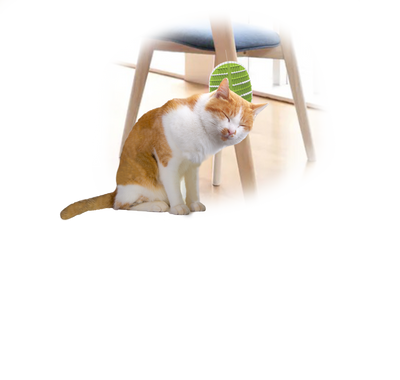Lifestyle 4 Pets – 2 in 1 Groomer | Brush & Massager for Dogs & Cats