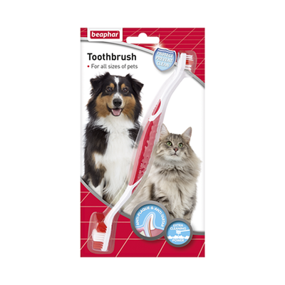 Toothbrush